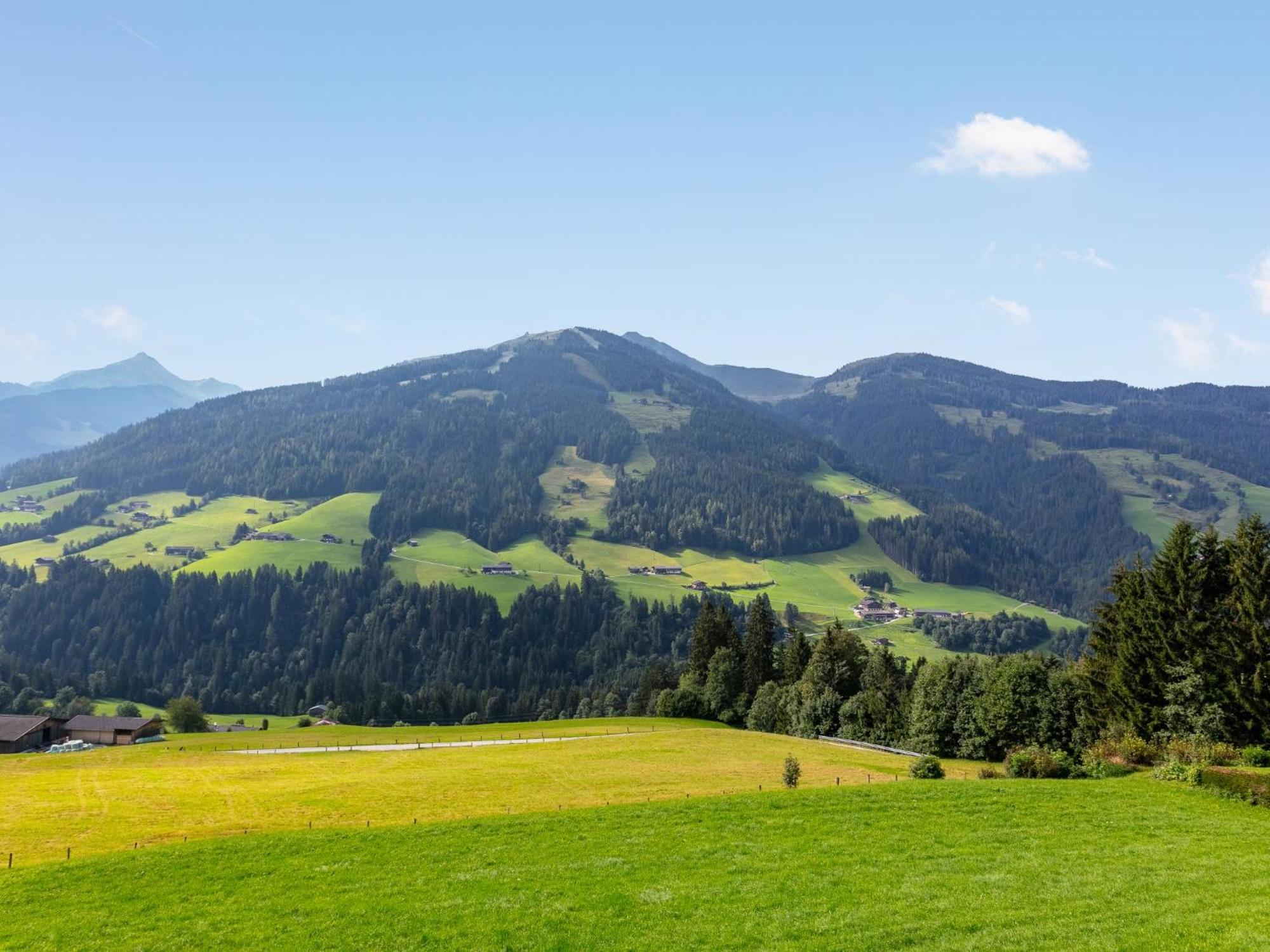 Haus Fernwald Top Rens Alpbach Kültér fotó