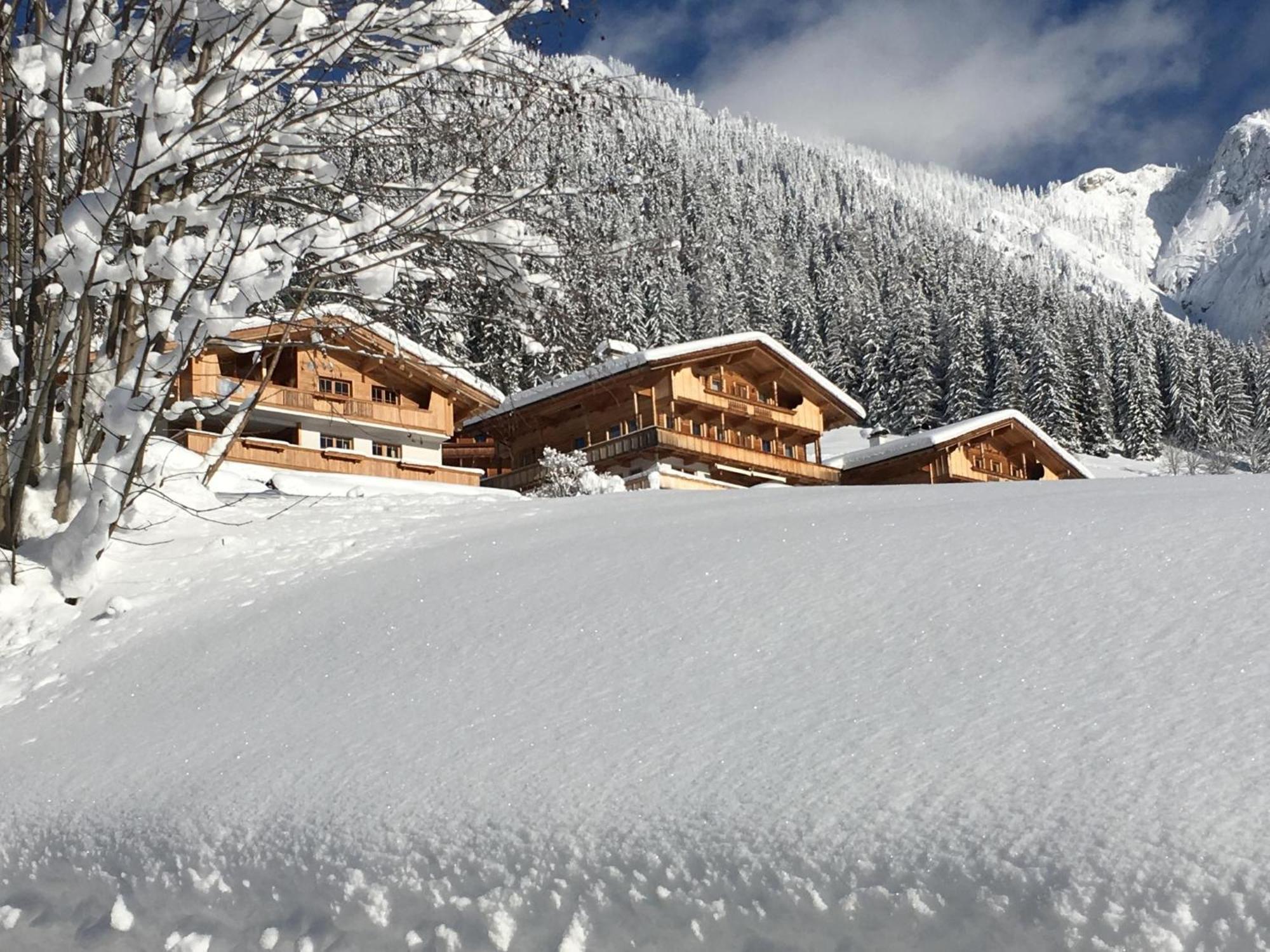 Haus Fernwald Top Rens Alpbach Kültér fotó